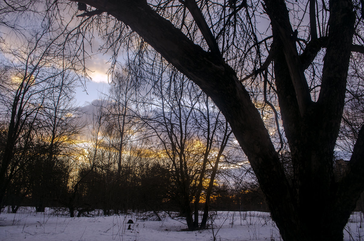 на закате - Вера Кораблёва
