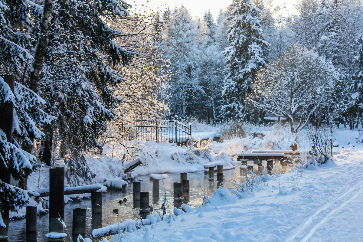 Вечерело зимним днем - Алёнка Шапран Вечерело зимним днем - Алёнка Шапран