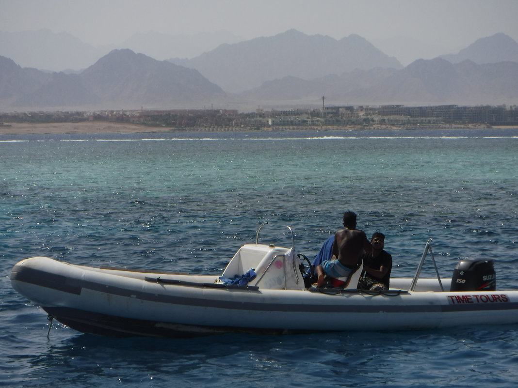 Красное море - ELENA RAUPOVA