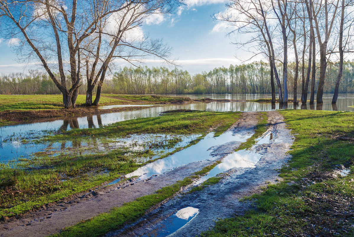 Вода отступает - Любовь Потеряхина