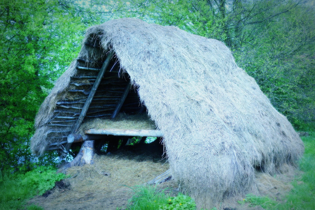 Шалаш - Николай 