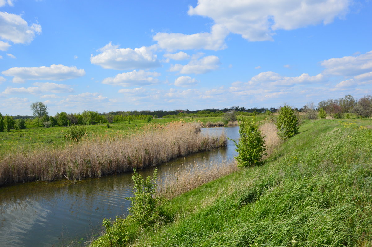 *** - Виктор ЖИГУЛИН.