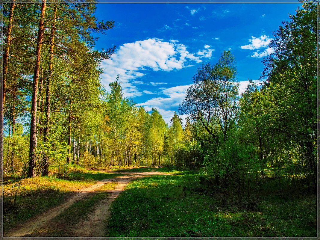 *** - Дмитрий Янтарев