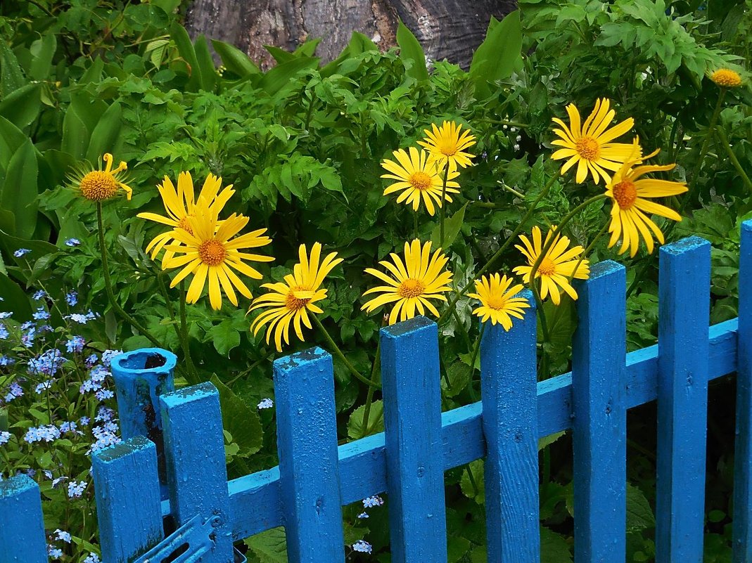 В полисаднике - Маргарита Батырева