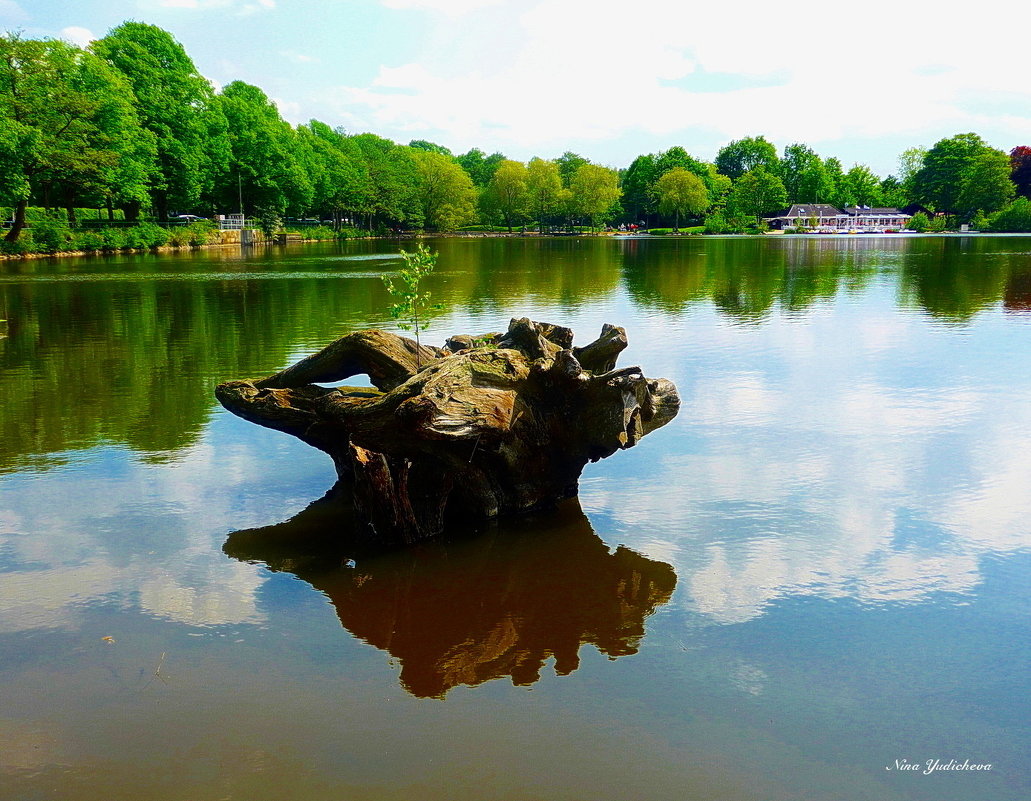 Hamburg.  Aussenmühlenteich - Nina Yudicheva