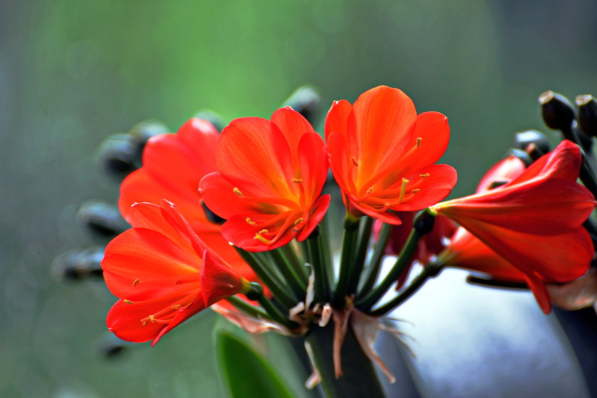 Вещание ... - Владимир Икомацких