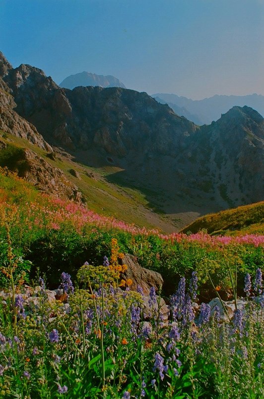 МОИ ГОРЫ - Виктор Осипчук