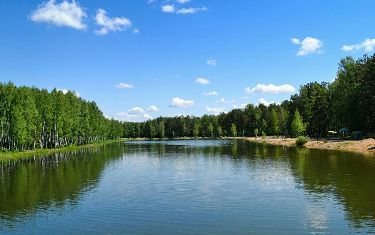 На пляжном водоёме - Милешкин Владимир Алексеевич 