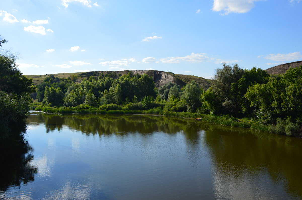 *** - Виктор ЖИГУЛИН.