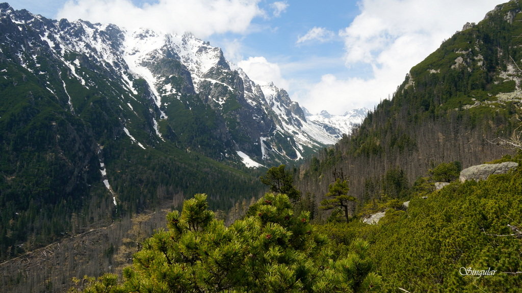 Slovakia, High Tatrras. Towards Teryho Chata. - Tatiana Golubinskaia