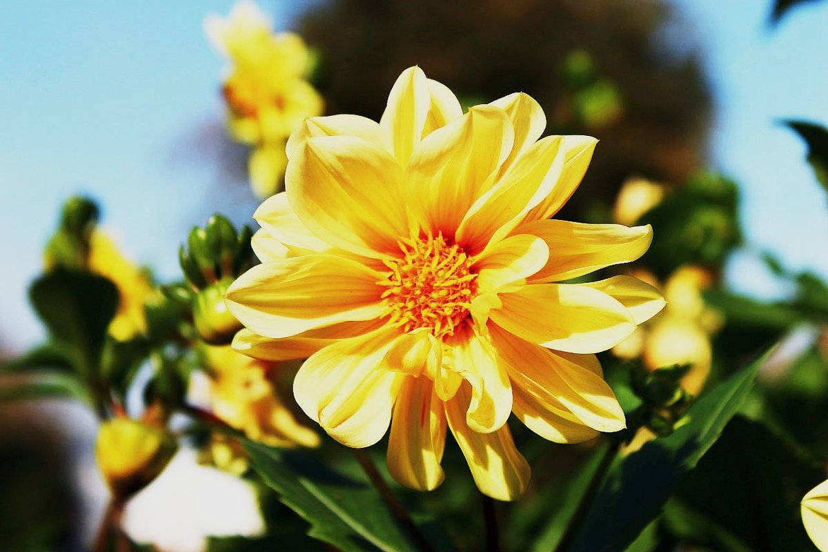 Лето - Татьяна Крикова