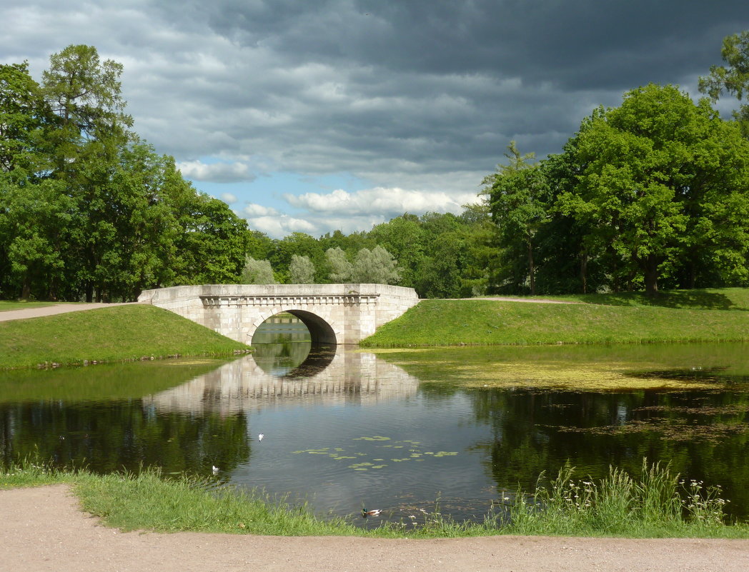 В парке 1 - Олег Николаев