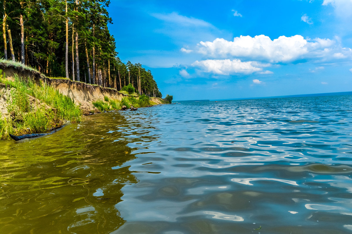 вода,обрывы,лес и прекрасный свежий воздух - Света Кондрашова