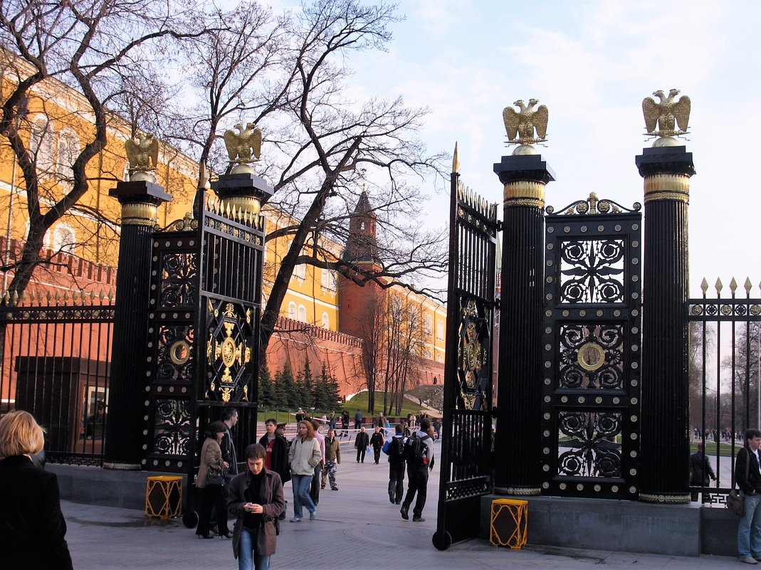 Александровский сад - Сергей Кухаренко