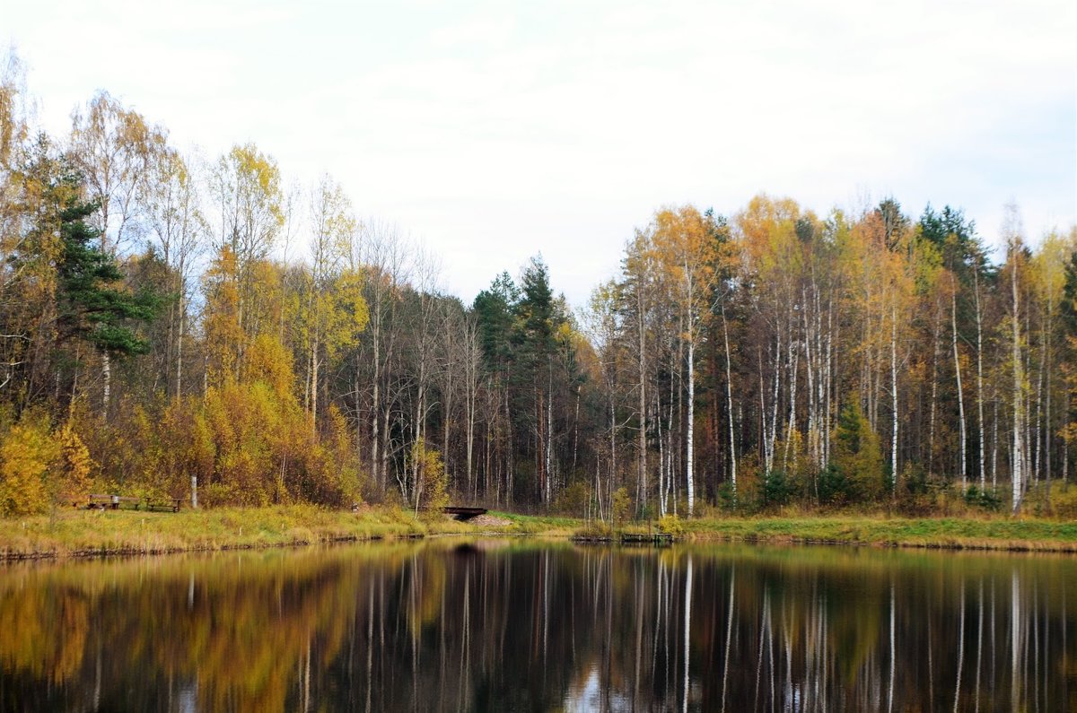 Озеро в лесу - alen.kon К