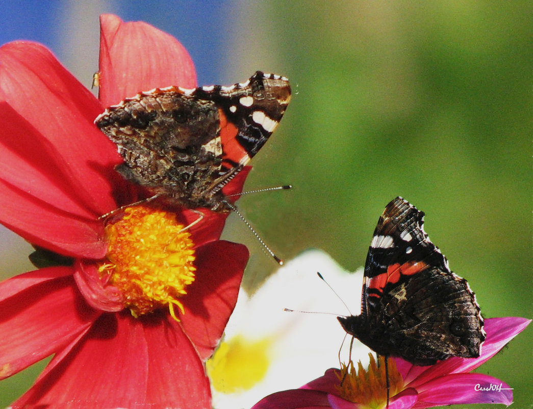 Поговорим? - Юрий 