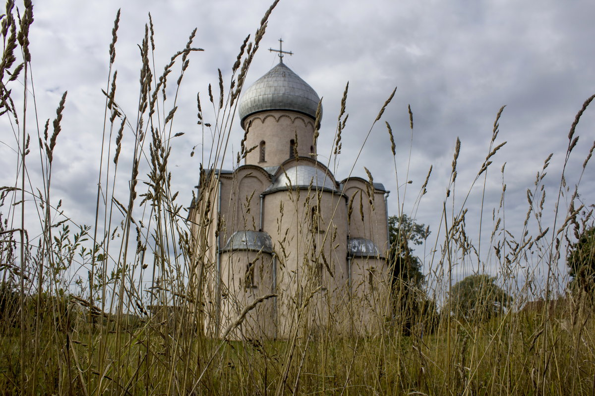 Церковь Спаса на Нередице. - Ольга Лиманская