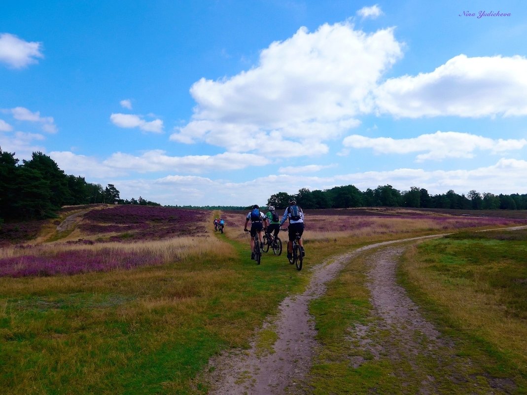 Fischbeker Heide Hamburg - Nina Yudicheva