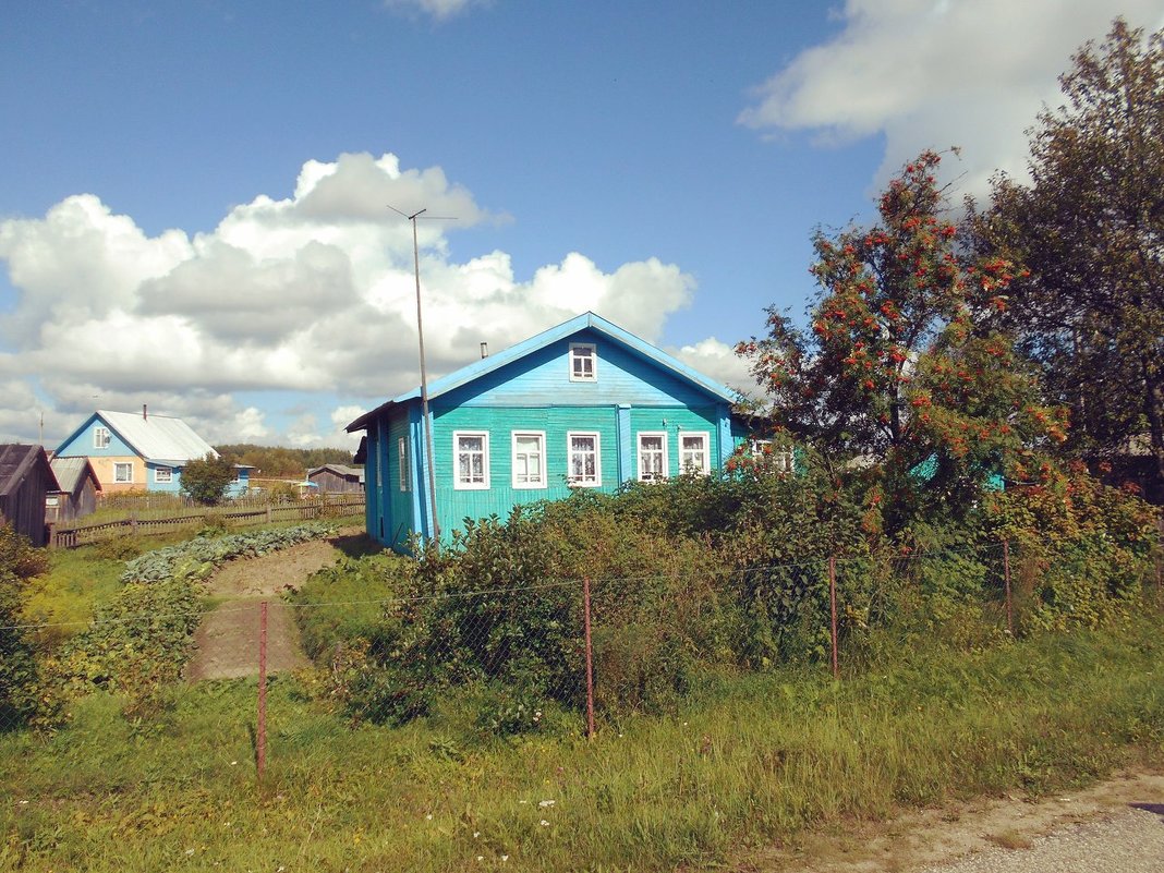 Лето в деревне Красная Гора - Николай Туркин 