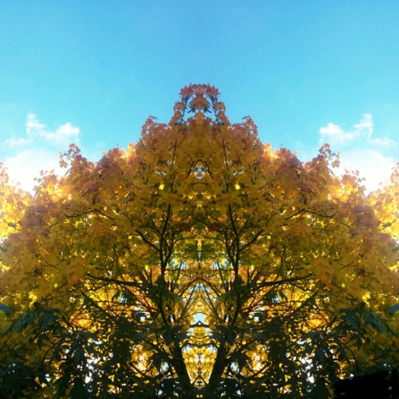 Золотая пагода осени - Виктория Нефедова