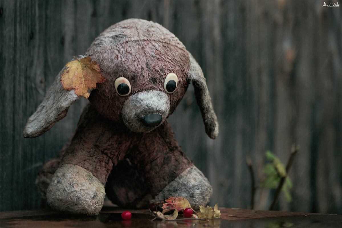 Забытый друг - Alent Vink