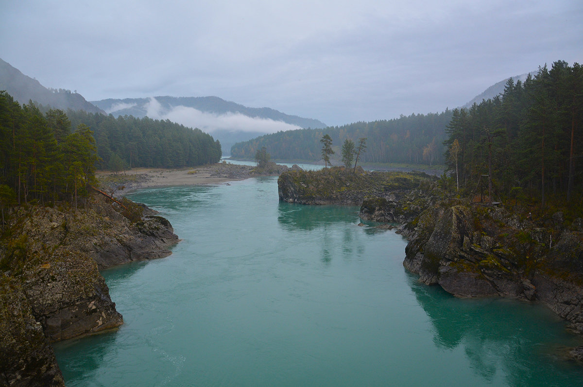 После дождика. - Валерий Медведев После дождика. - Валерий Медведев