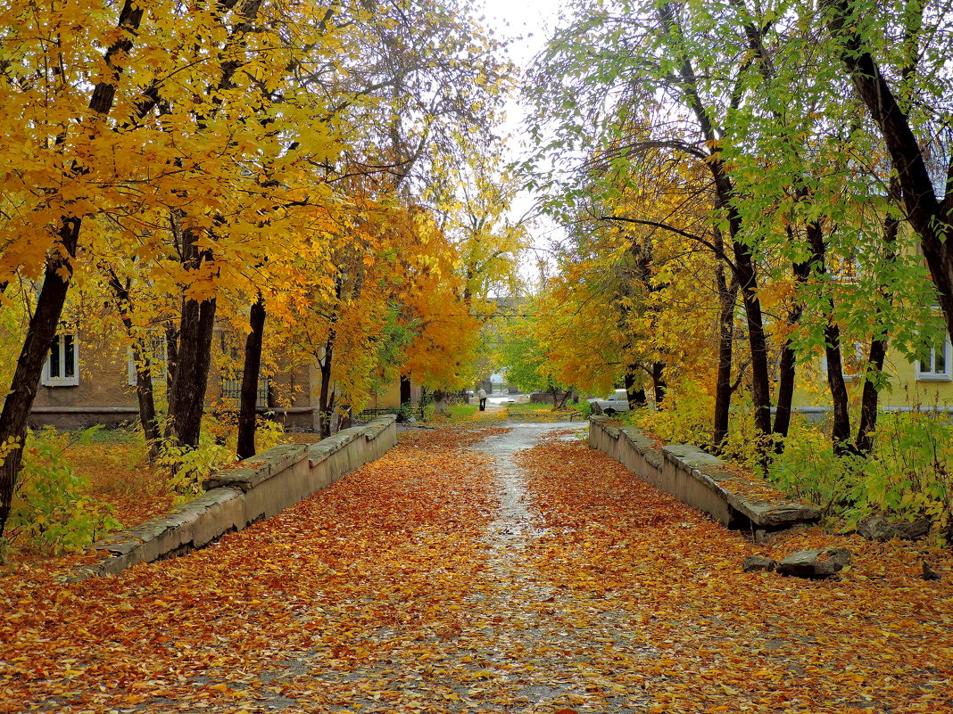 Осень - Александр Поздеев 