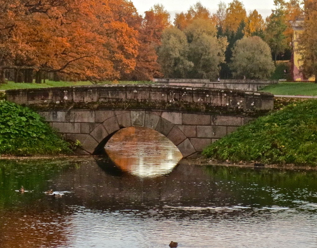 осень в Царском Селе - Елена 