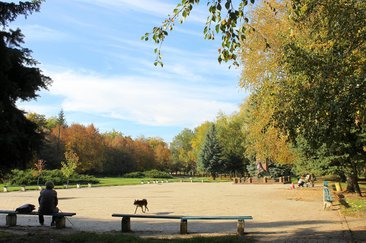 Верный пес опять встречает....на том же месте, в тот же час. - Валентина ツ ღ✿ღ
