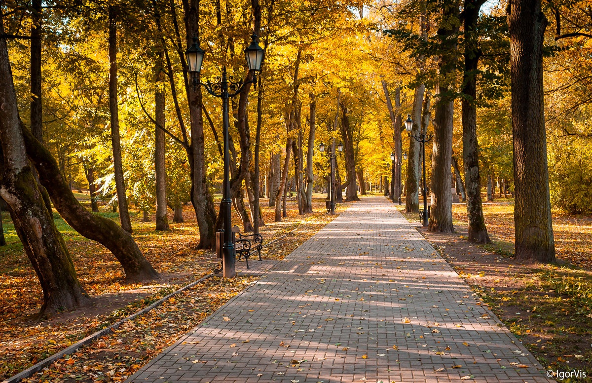 *** - Игорь Вишняков *** - Игорь Вишняков