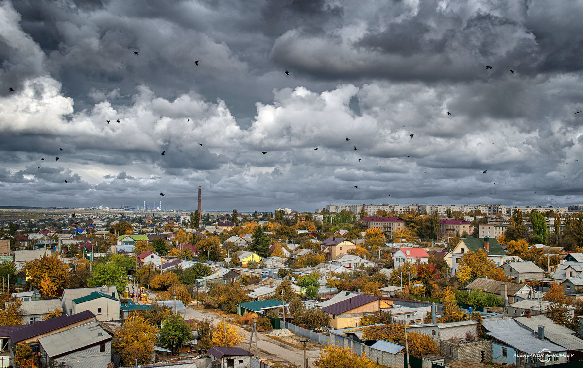 Повседненая жизнь - Александр Афромеев