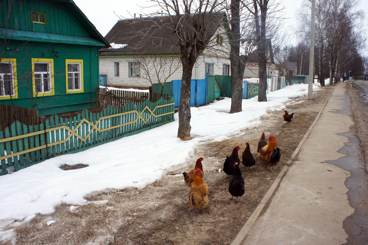 На улице города - Елена Павлова (Смолова)