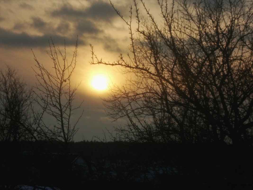 Дачный закат. - Александр 