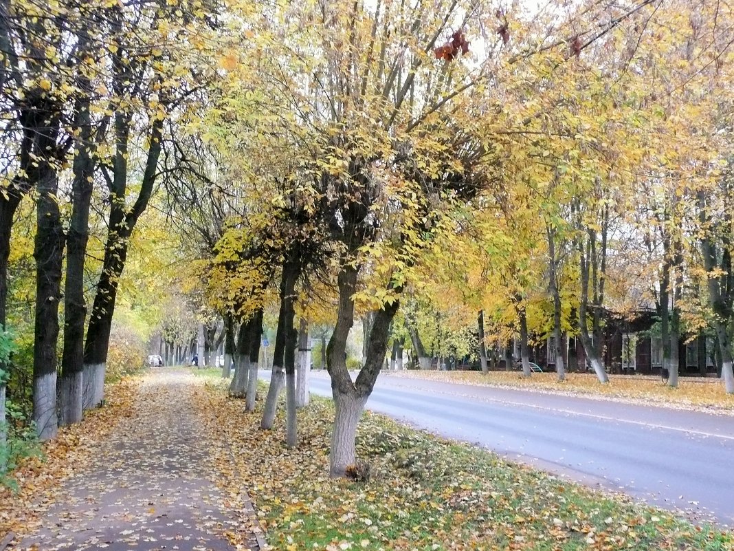 Климовская осень... - Владимир Холодницкий