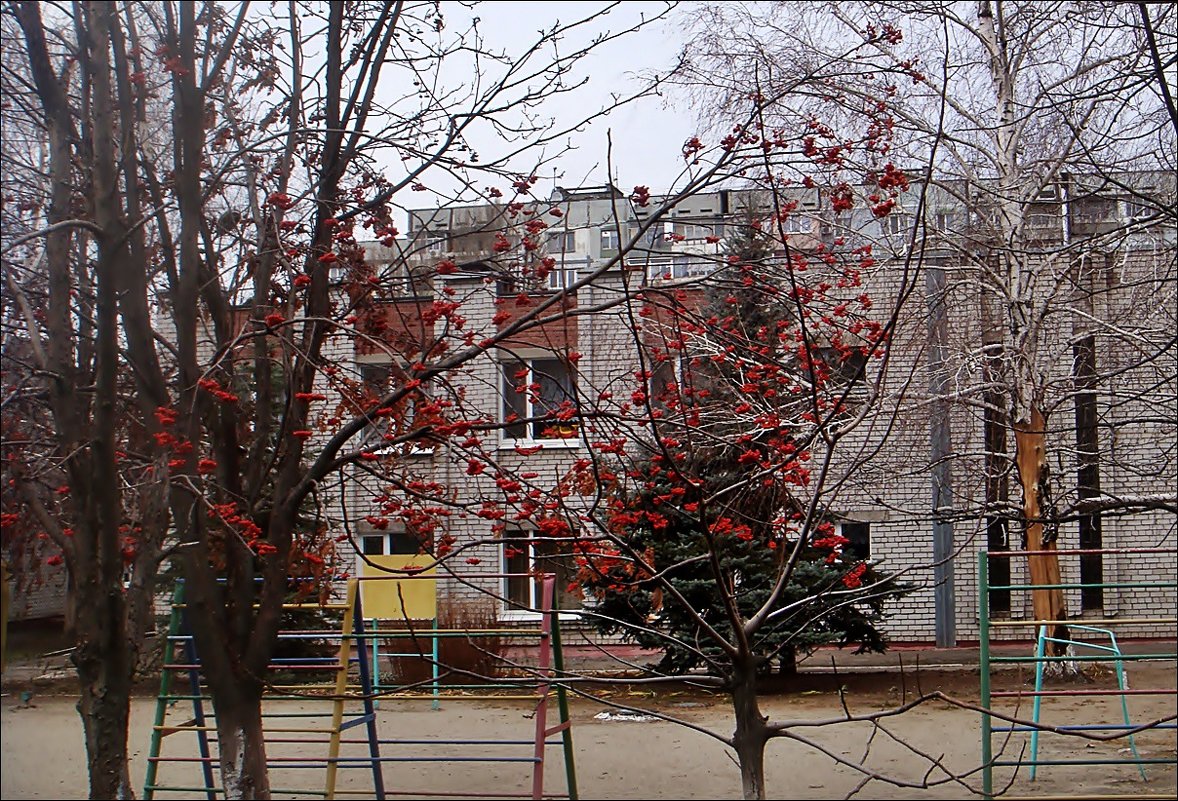 Рябиновые бусы в детском саду - Нина Корешкова