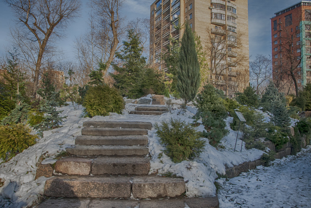 В Аптекарском огороде - marmorozov Морозова