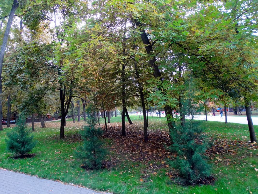 Зарисовки в осеннем парке... - Тамара (st.tamara) Зарисовки в осеннем парке... - Тамара (st.tamara)