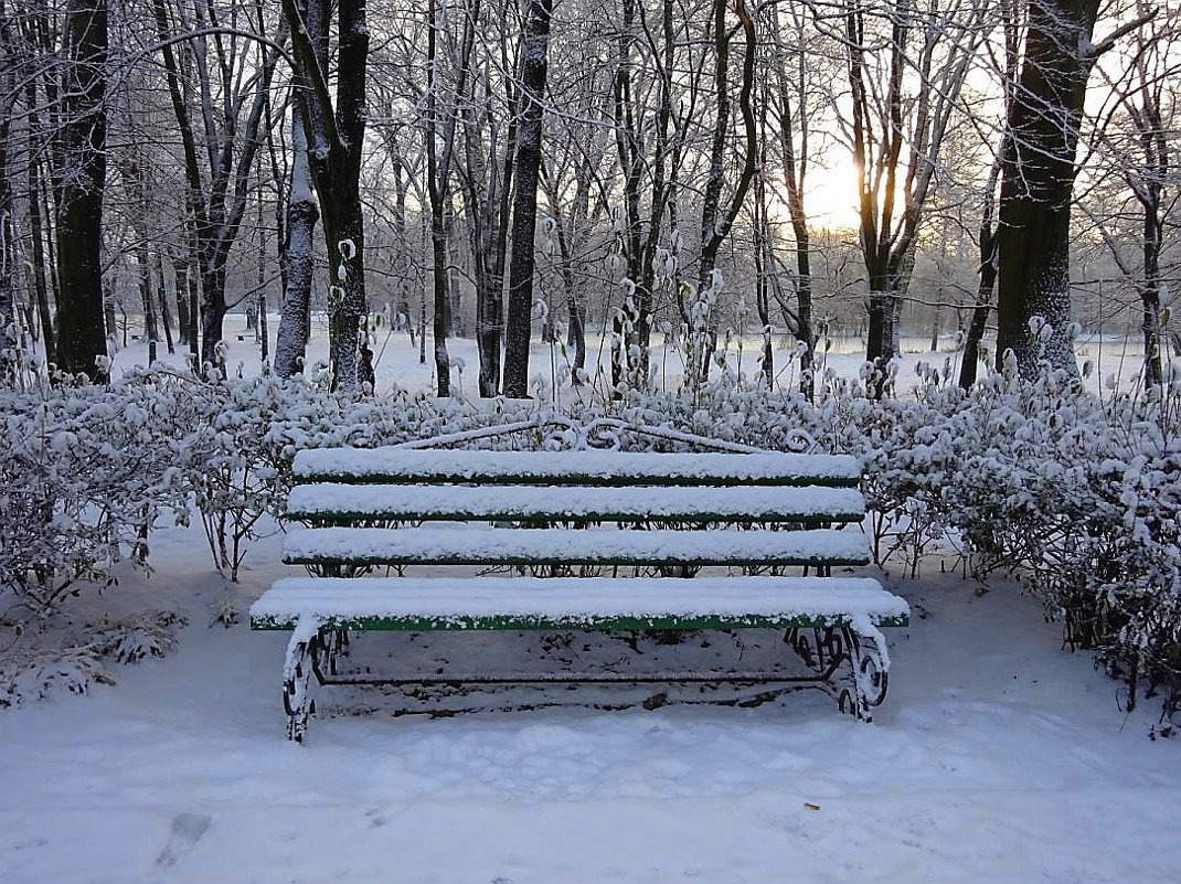 В Калининград ненадолго заглянула зима - Маргарита Батырева В Калининград ненадолго заглянула зима - Маргарита Батырева