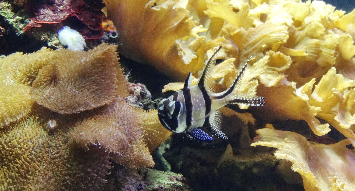 Проплываем... - Владимир Гилясев Проплываем... - Владимир Гилясев