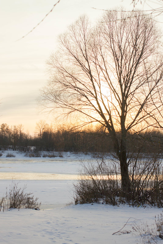 и зимой не плохо - Владислав Гаврик