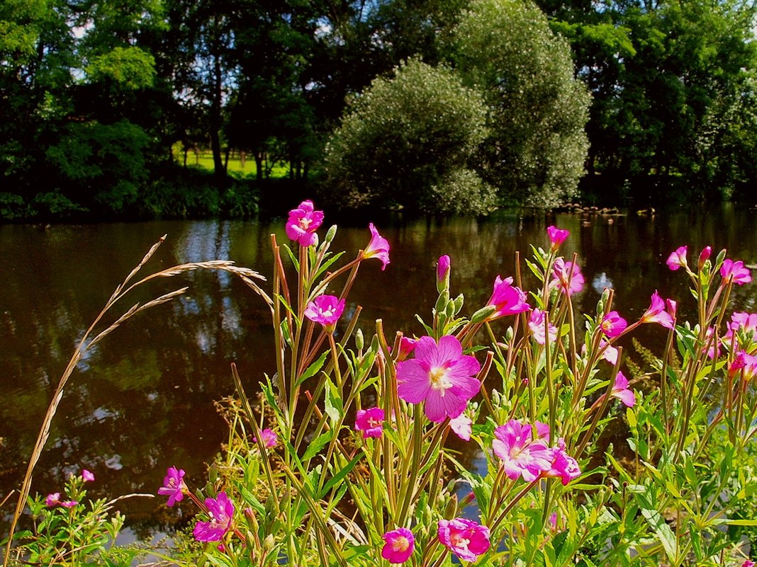... - Алексей Жуков ... - Алексей Жуков