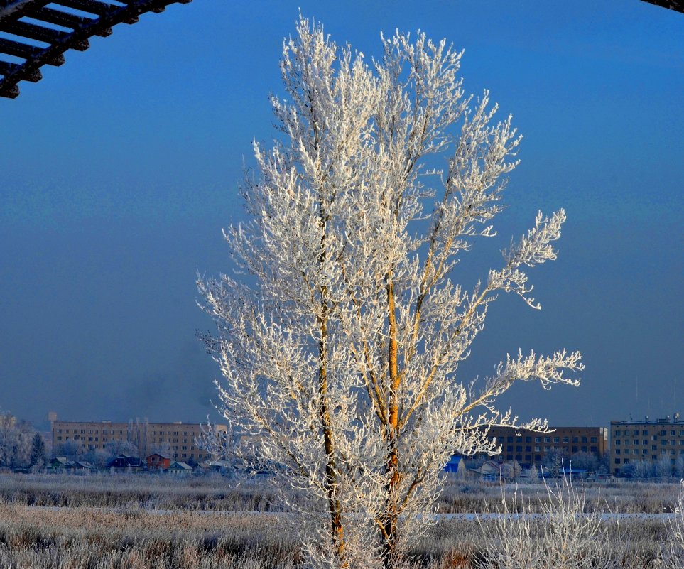 В серебре - Savayr 