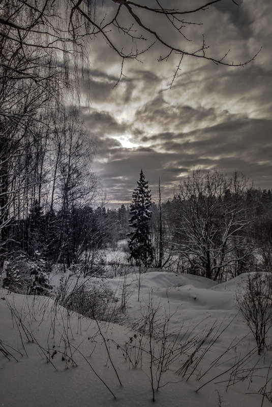 "Холодно." - victor buzykin "Холодно." - victor buzykin