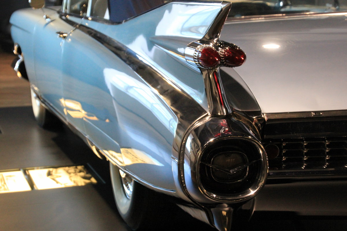 ... - Olga ... - Olga