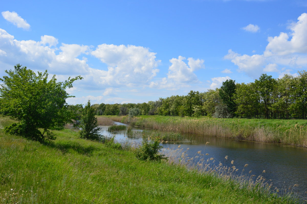 *** - Виктор ЖИГУЛИН. *** - Виктор ЖИГУЛИН.