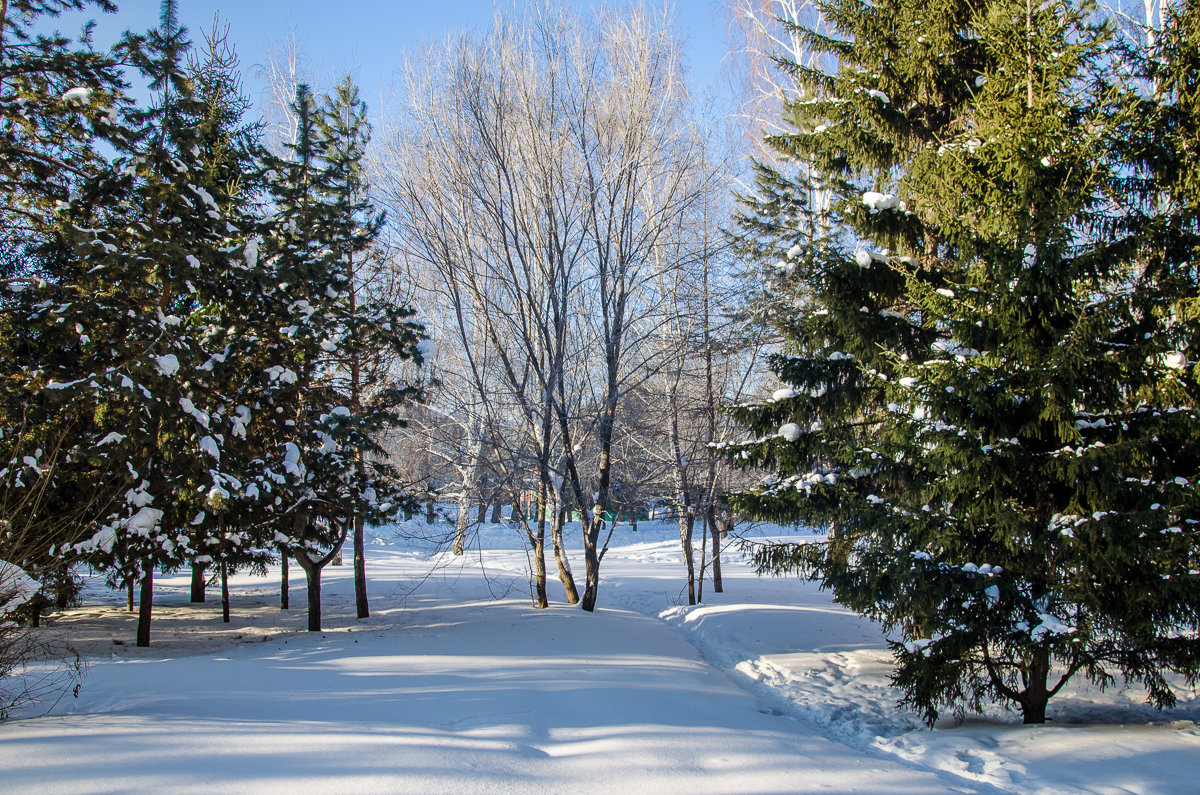 Февраль - andrey 