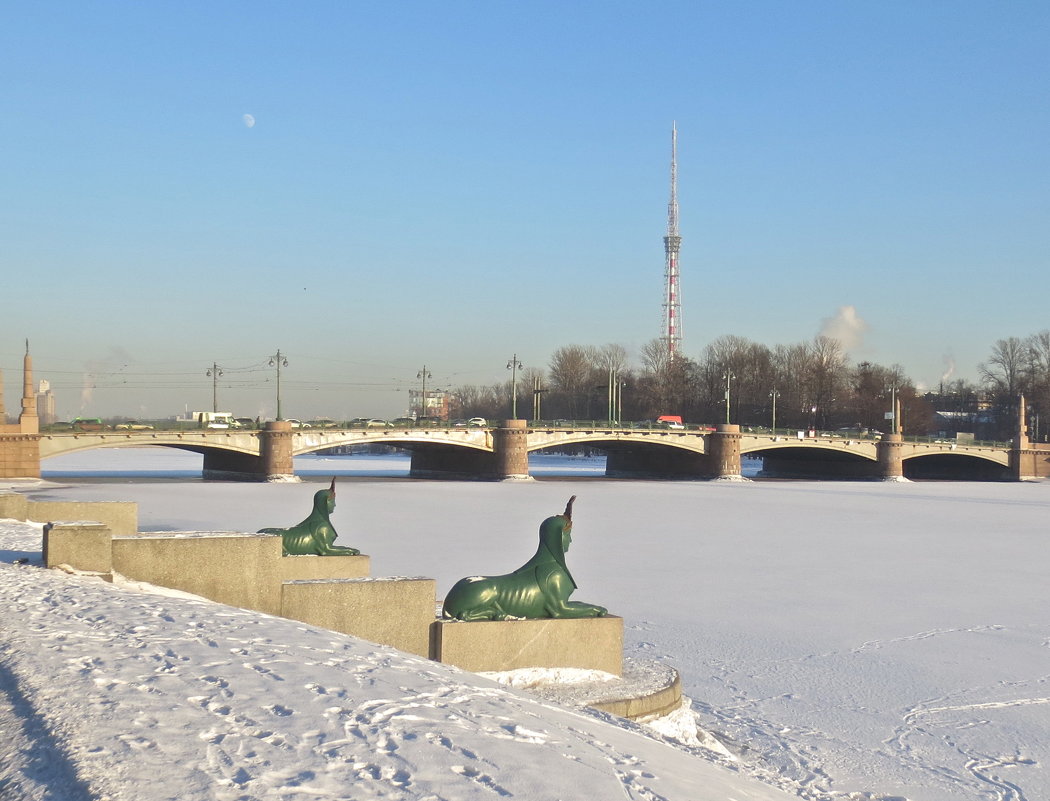 у Каменноостровского моста - Елена 