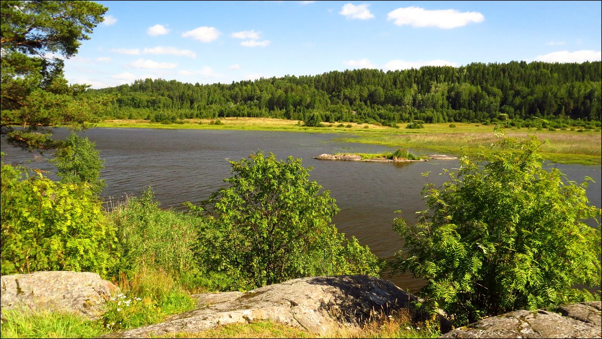 Залив Импилахти. Карелия. - Елена Швецова Залив Импилахти. Карелия. - Елена Швецова