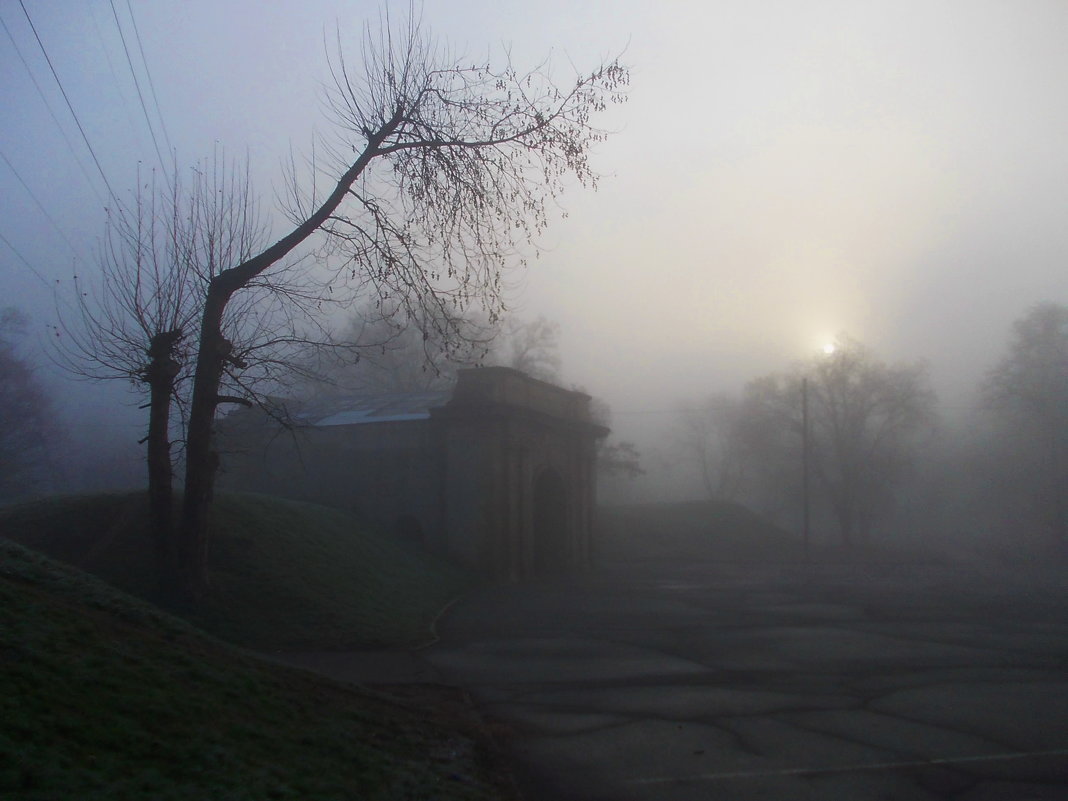 Городские ворота - Наталья Гринченко