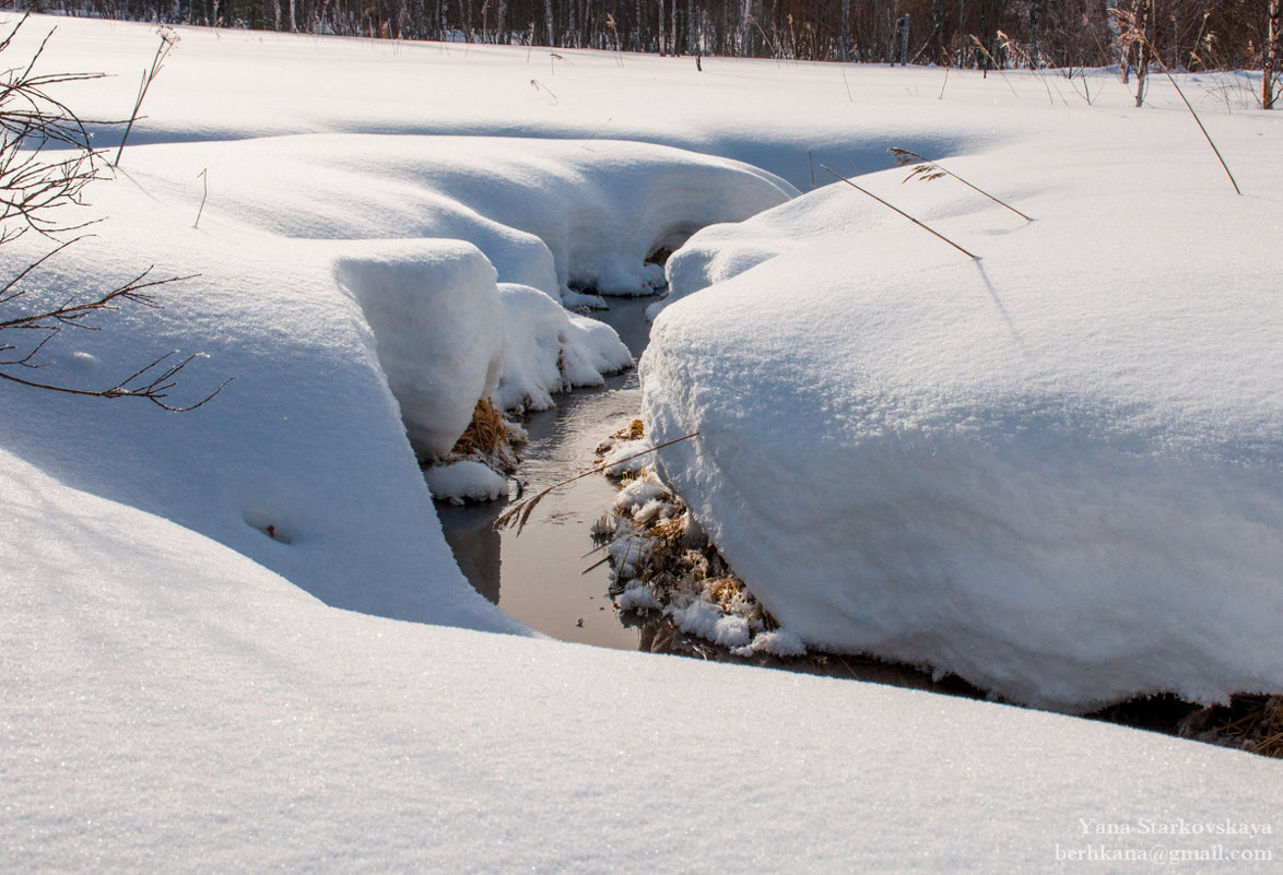 Весенний каньон - Яна Старковская